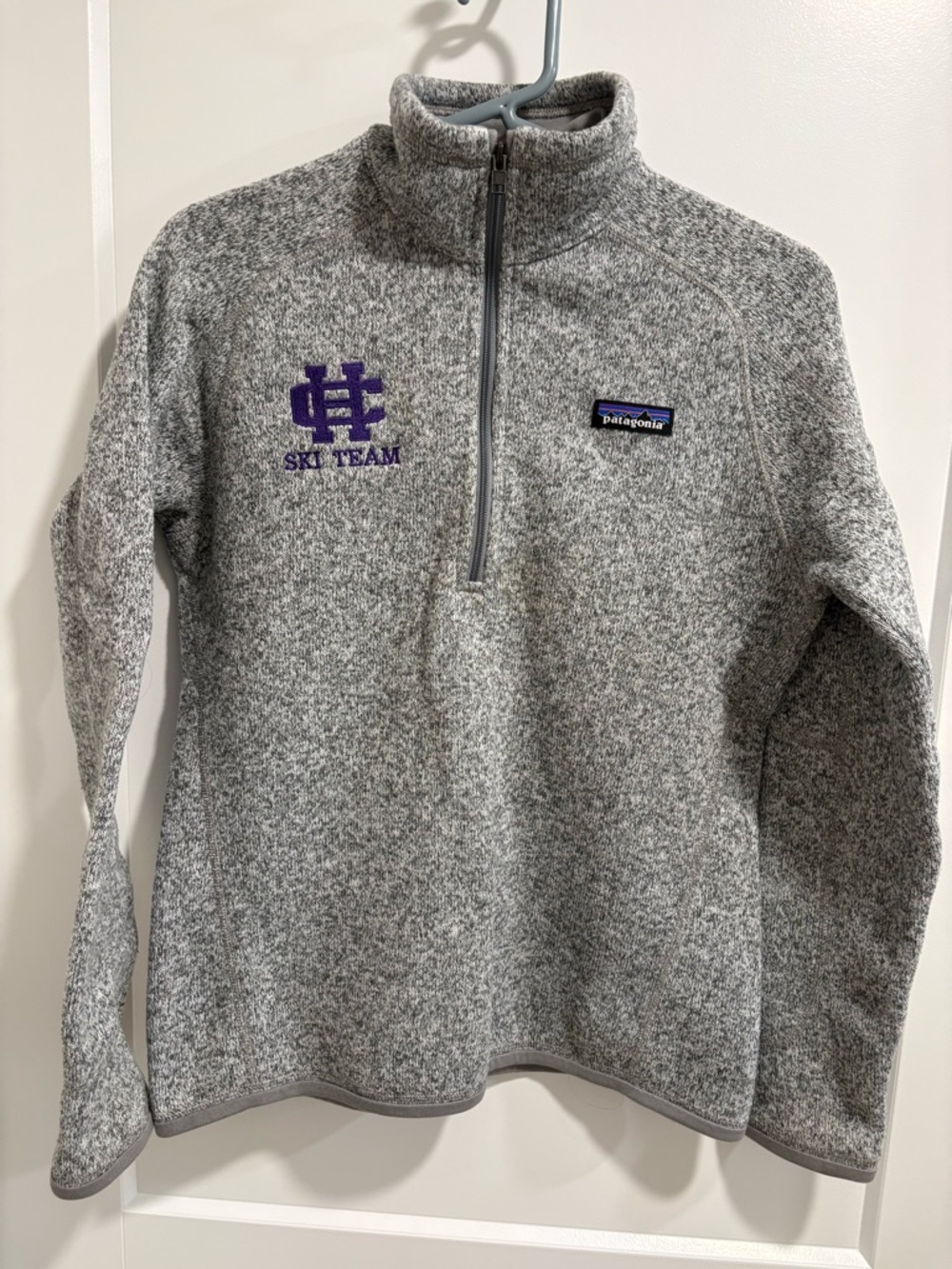 Patagonia Gray Marled Half-Zip with Purple Ski Team Logo